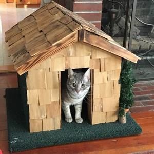 Meet your Posher, Mary